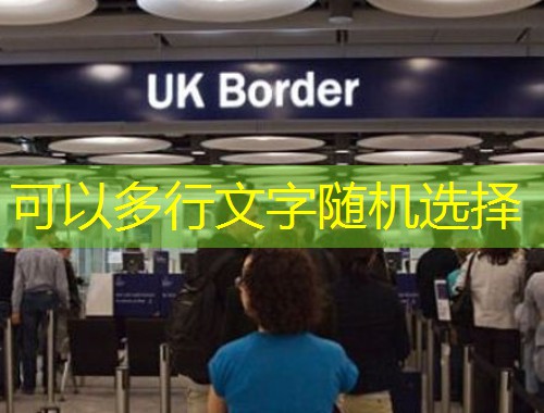 进入汉德欧移民官网