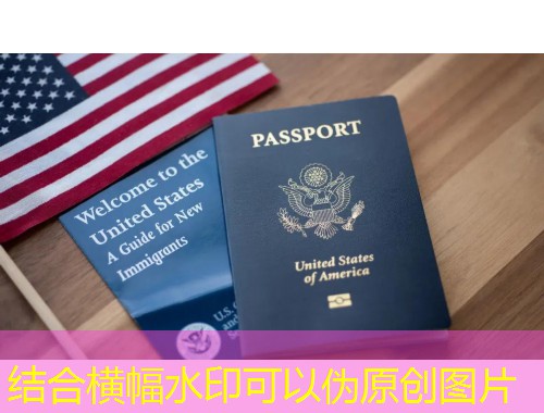 圣卢西亚移民中介：如何挑对“引路人”，一步到位拿英联邦护照